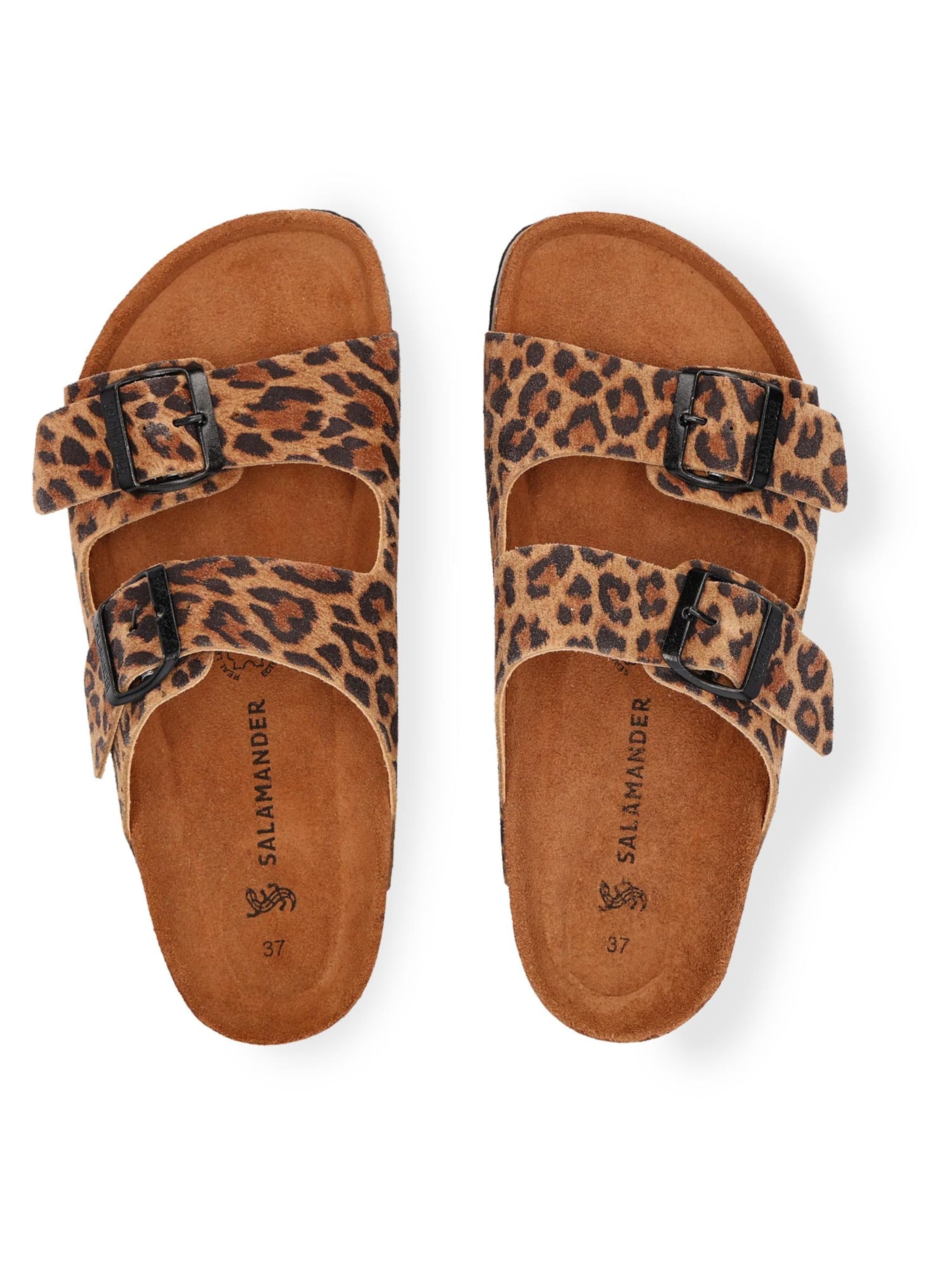 SALAMANDER Mules 'Basic' in Mixed colors