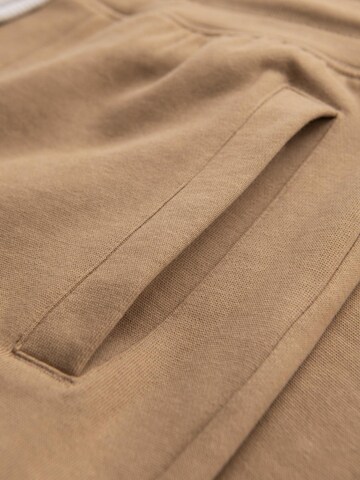 regular Pantaloni sportivi di Ombre in marrone