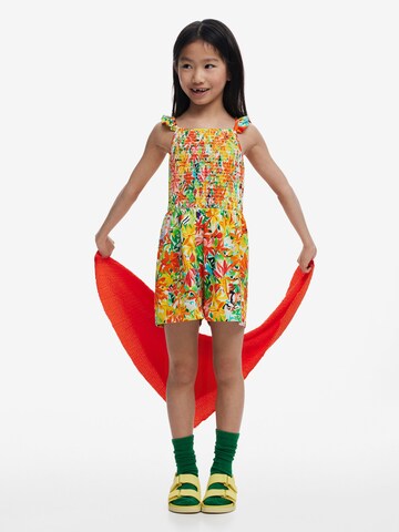 Desigual Overall in Gemengde kleuren