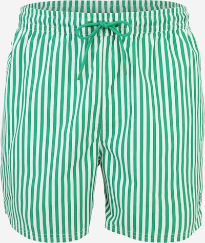 Calvin Klein Swimwear Uimashortsit värissä kuusi / valkoinen, Tuotenäkymä