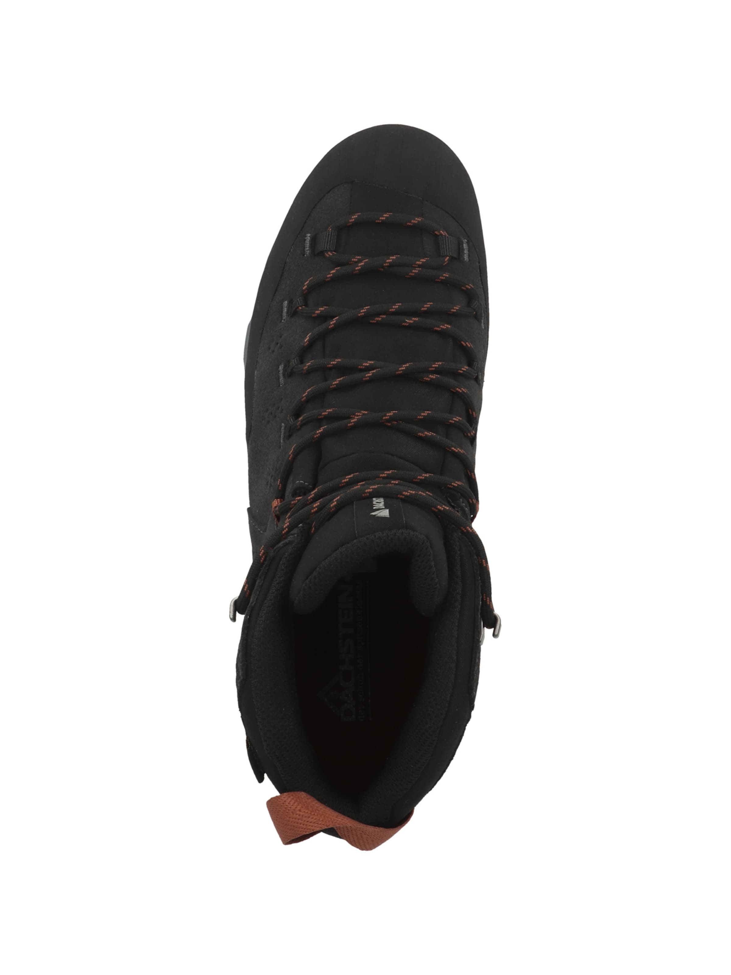 Dachstein - Sapato baixo em cinzento