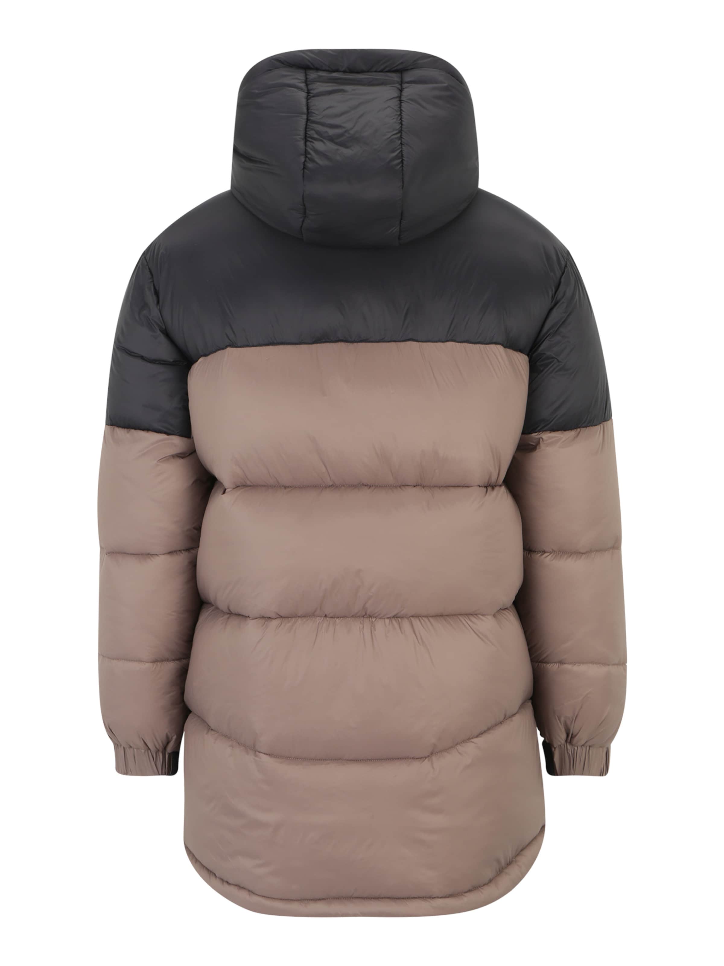 Veste d’hiver FILA en marron
