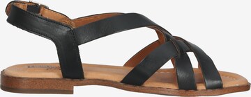 PIKOLINOS Sandalen met riem in Zwart