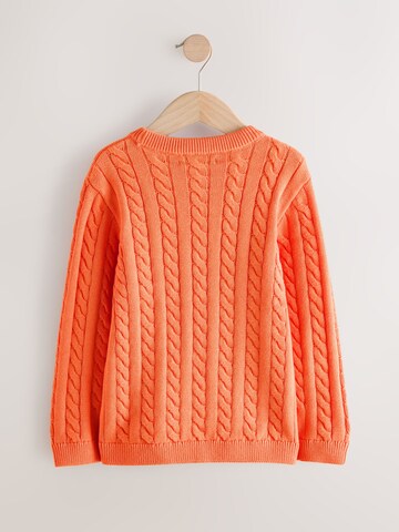 Pullover di Next in arancione