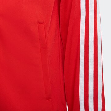 ADIDAS ORIGINALS Regular Zip-Up Hoodie 'Adicolor Sst' in Red