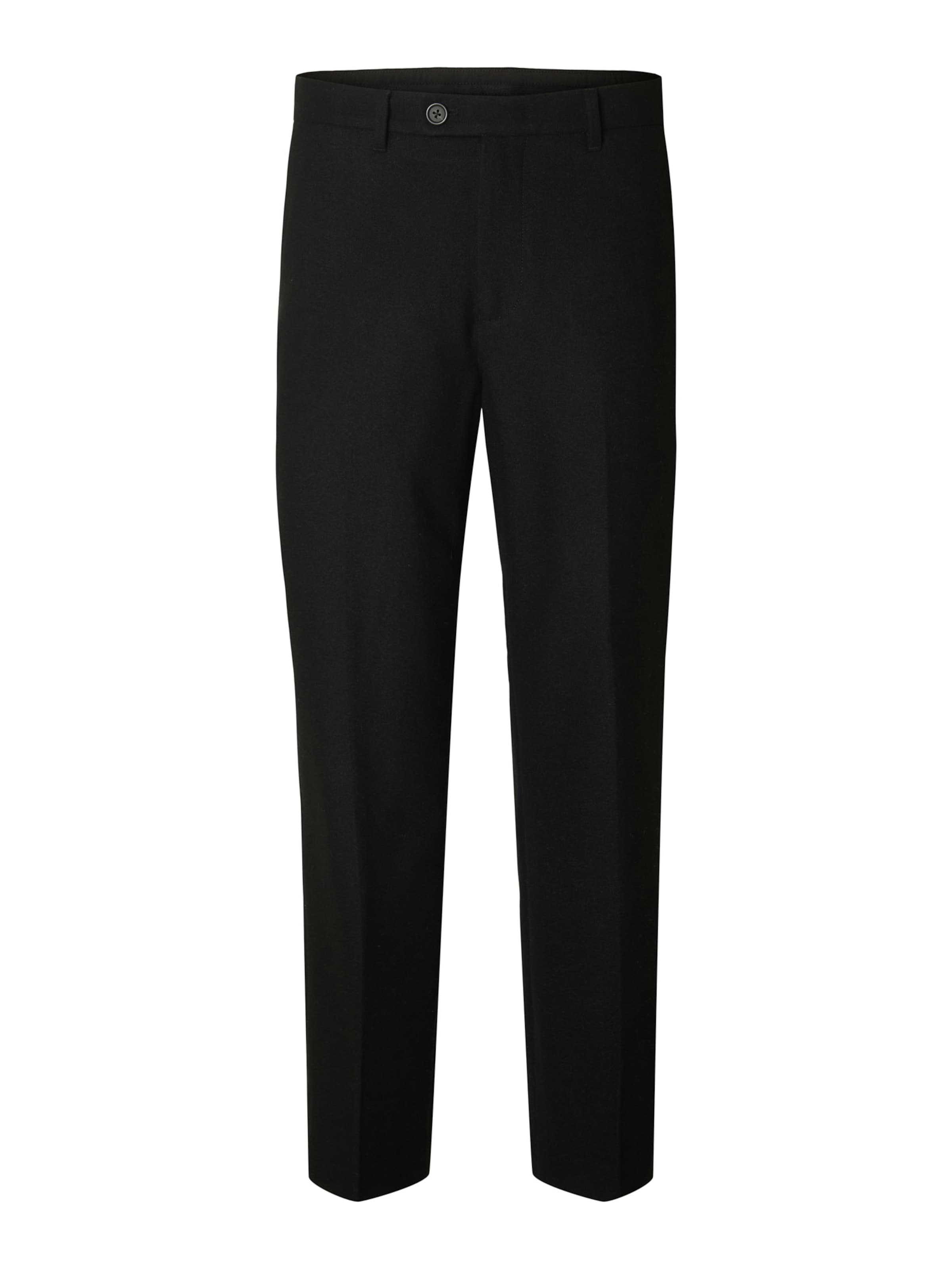 SELECTED Regular Pleated Pants 'SLH196' in Black: front