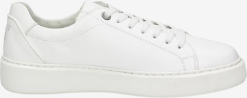 SIOUX Sneakers laag in Wit