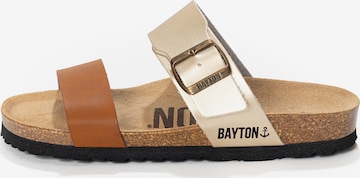 mišri Bayton Šlepetės 'Valence': priekis