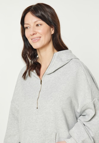 usha BLUE LABEL - Sudadera en gris
