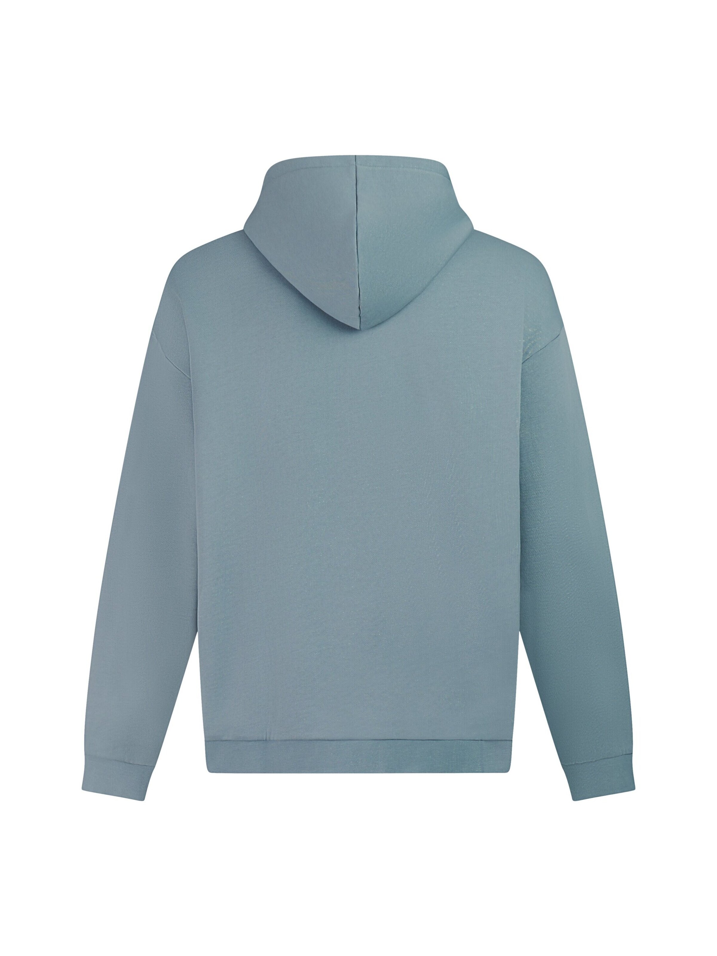 PROTEST Sweater 'PRTRoman' in Blue