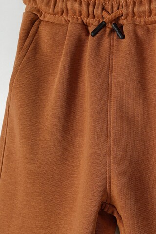 Set di MINOTI in marrone
