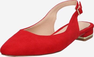 Dorothy Perkins Strap ballerina 'Ellery' in Red, Item view