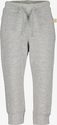 BLUE SEVEN Tapered Pants in Grey: front