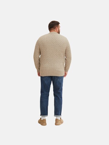 TOM TAILOR Men + Sweater 'Plus' in Beige