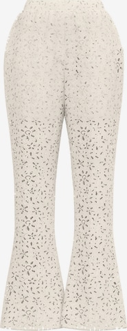 SELECTED FEMME Pants in Beige: front