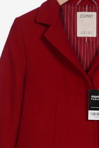 ESPRIT Jacket & Coat in XS in Red