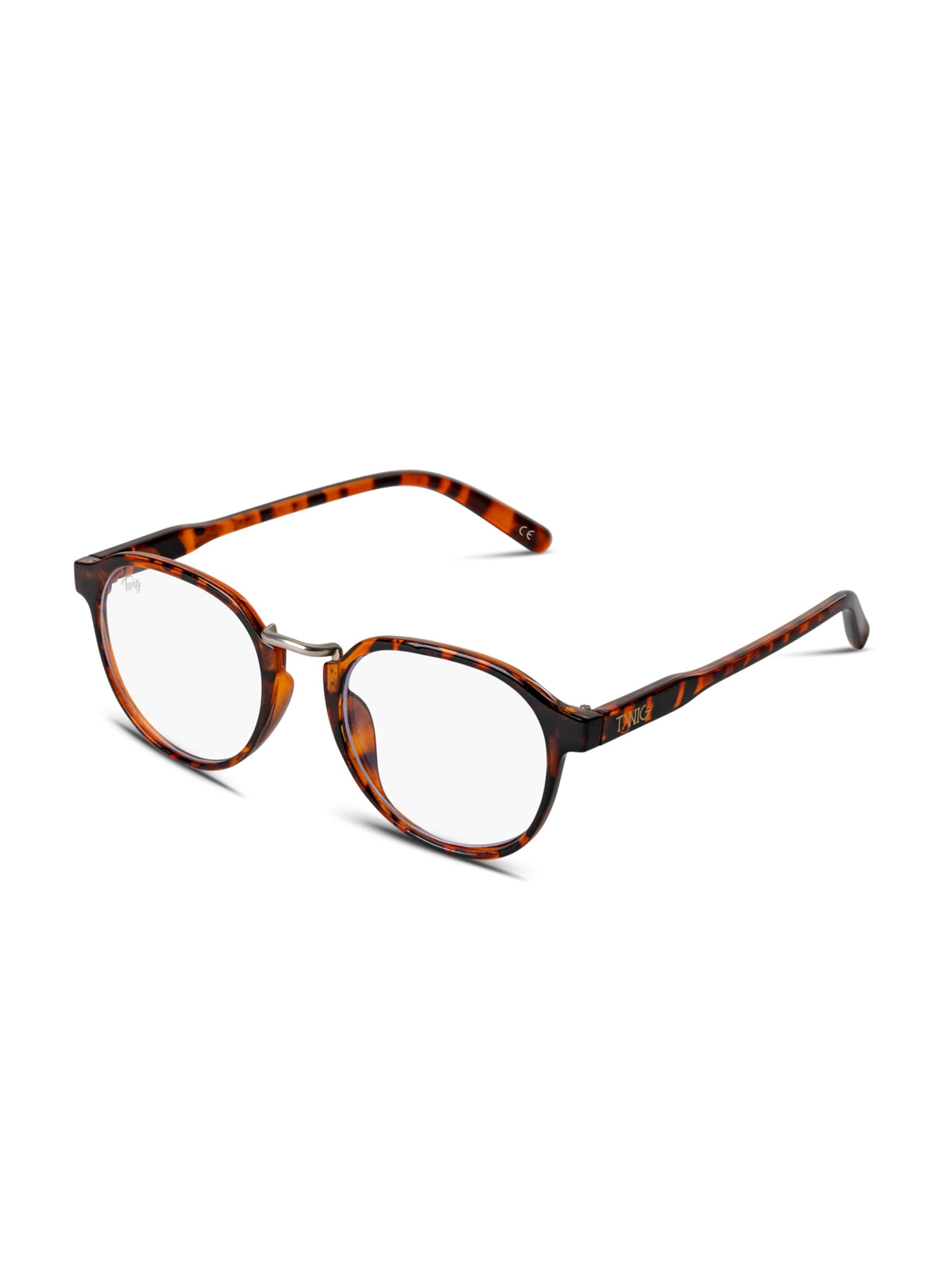 TWIG Concept Milano Glasses 'Redon' in Brown: front