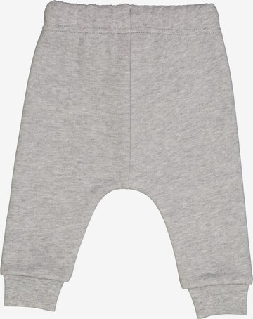 Fred's World by GREEN COTTON Regular Pants '' in Grey