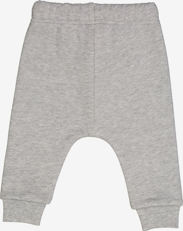 Fred's World by GREEN COTTON Regular Broek '' in Grijs