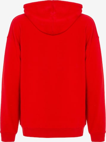 Redbridge Kapuzensweatshirt 'Guildford' in Rot