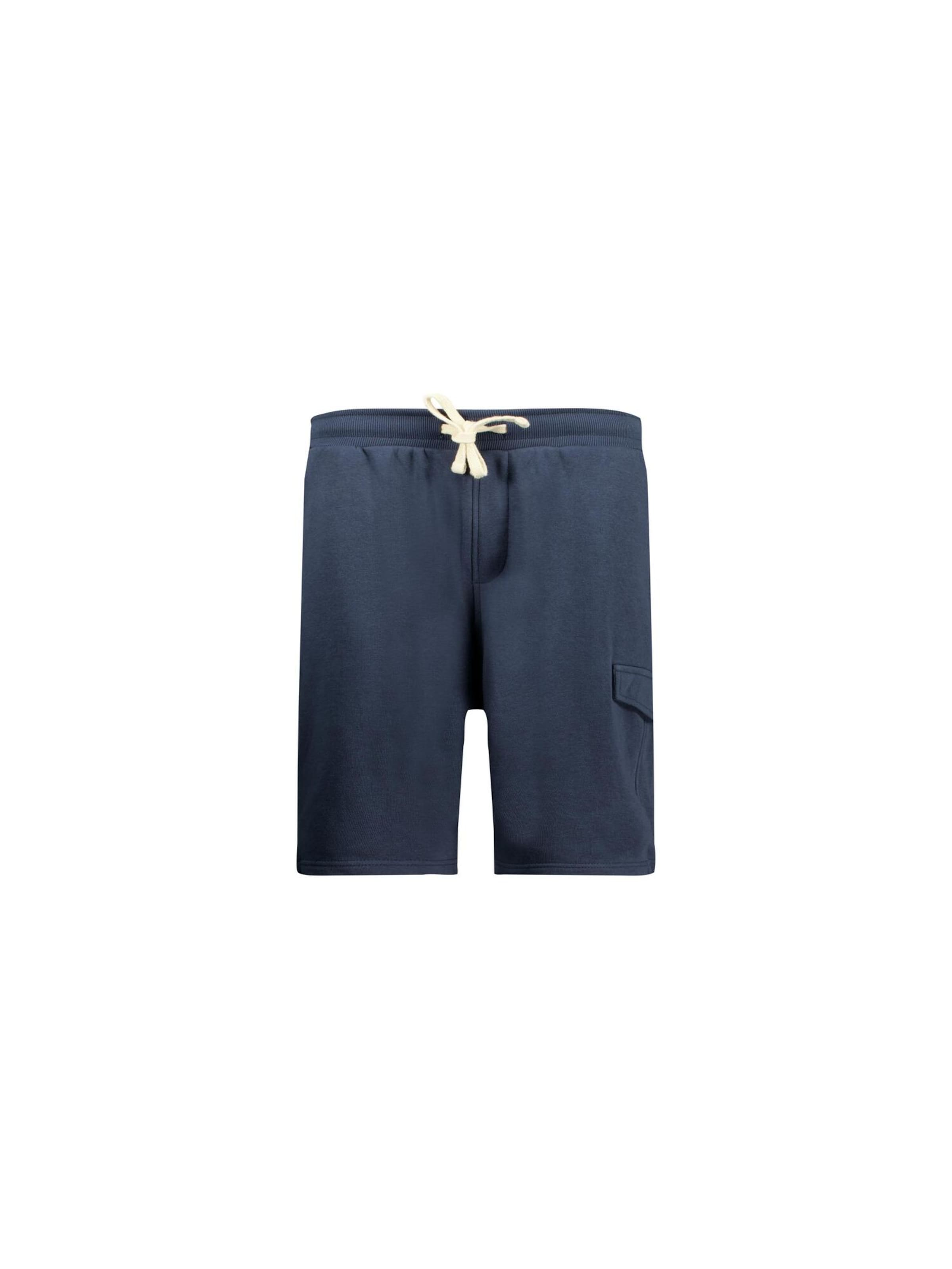 Regular Pantalon 'KOA' Deeluxe en bleu : devant