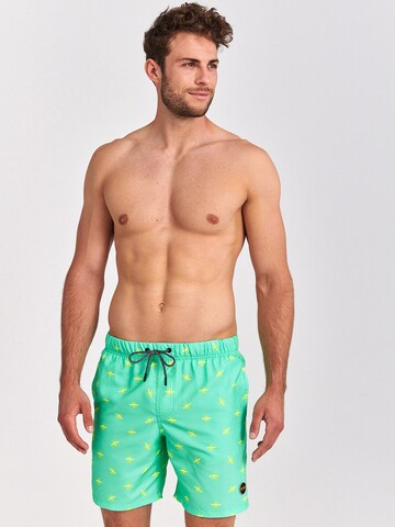 Shorts de bain Shiwi en vert : devant