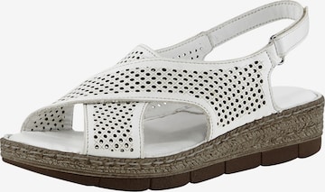 ANDREA CONTI Sandale in White: front