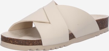 SCHOLL Mules 'NOELLE 24' in Beige: front