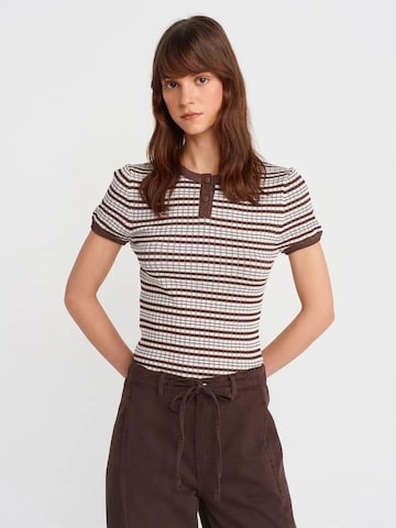 Dilvin Sweater in Brown: front