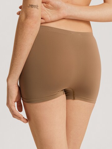 Hanro Panty ' Touch Feeling ' in Brown