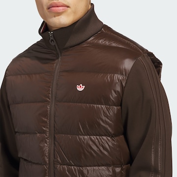 Veste outdoor ADIDAS PERFORMANCE en marron