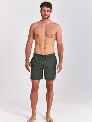 Shiwi Board Shorts in Green