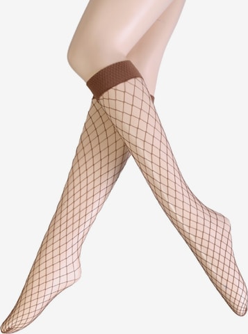Sokisahtel Socks 'RETE GRANDI fishnet knee-highs' in Beige: front