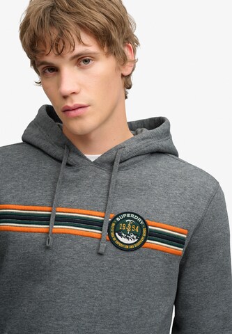 Superdry & Co Sweatshirt in Grijs