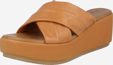 INUOVO Mules in Brown: front