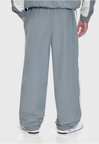 Dropsize Loosefit Broek in Grijs