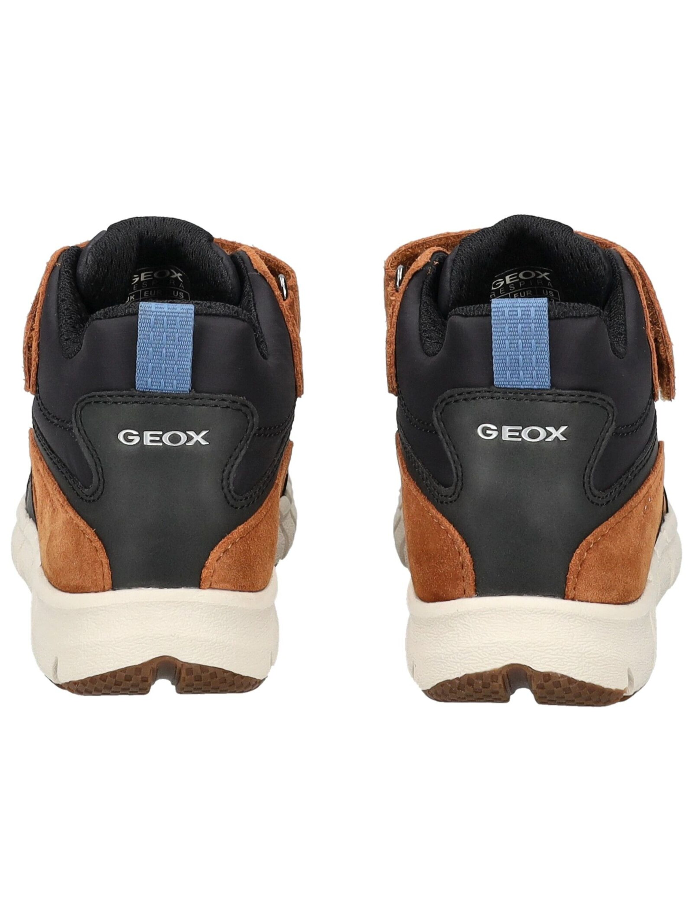 GEOX Laarzen in Bruin