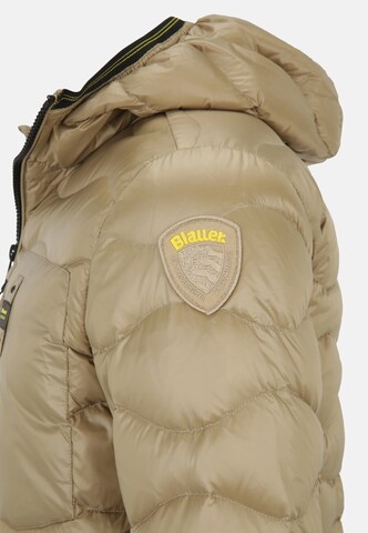 Blauer.USA Winter Jacket in Gold