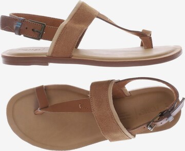 TOMS Sandals & High-Heeled Sandals in 37 in Brown: front
