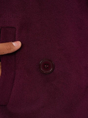 Bigdart Winter jacket in Red