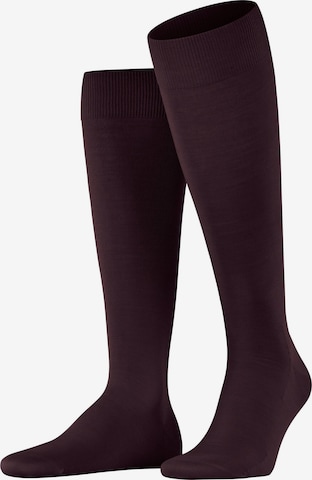 FALKE Knee High Socks 'ClimaWool' in Red: front