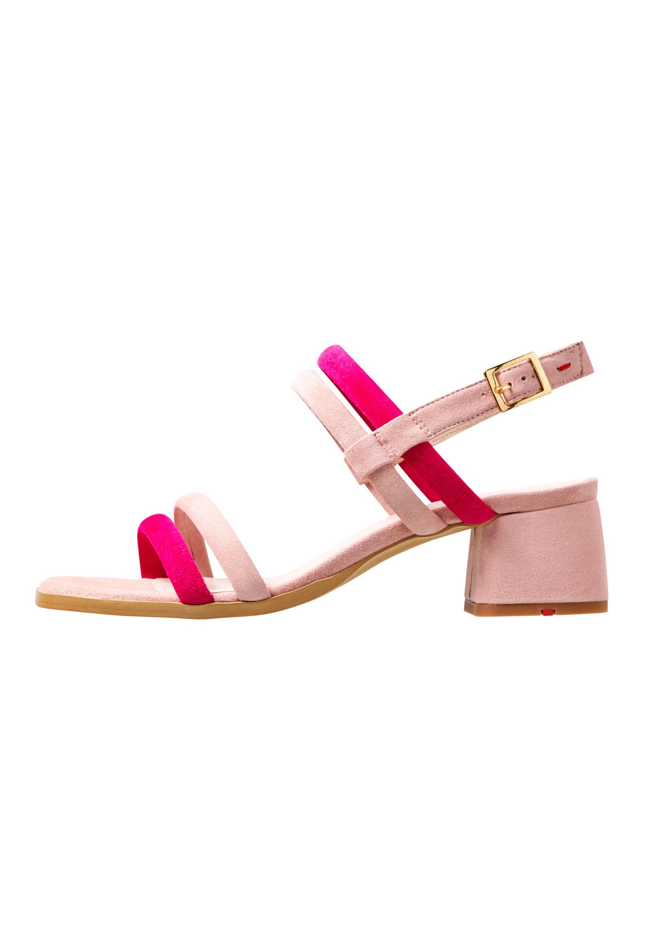 LLOYD Sandaal in Roze: voorkant
