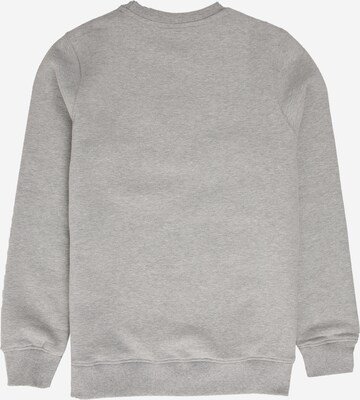 ELLESSE Sweatshirt 'Siobhen' i grå