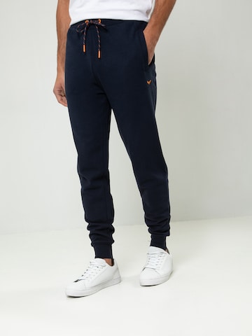 Threadbare Regular Pants 'Trifoliate' in Blue: front