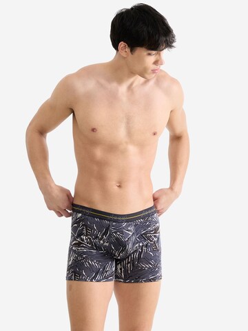 SLOGGI Langer Boxer ' Blue Start ' in Grau: Vorderseite