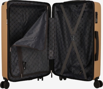 PIERRE CARDIN Suitcase Set in Gold