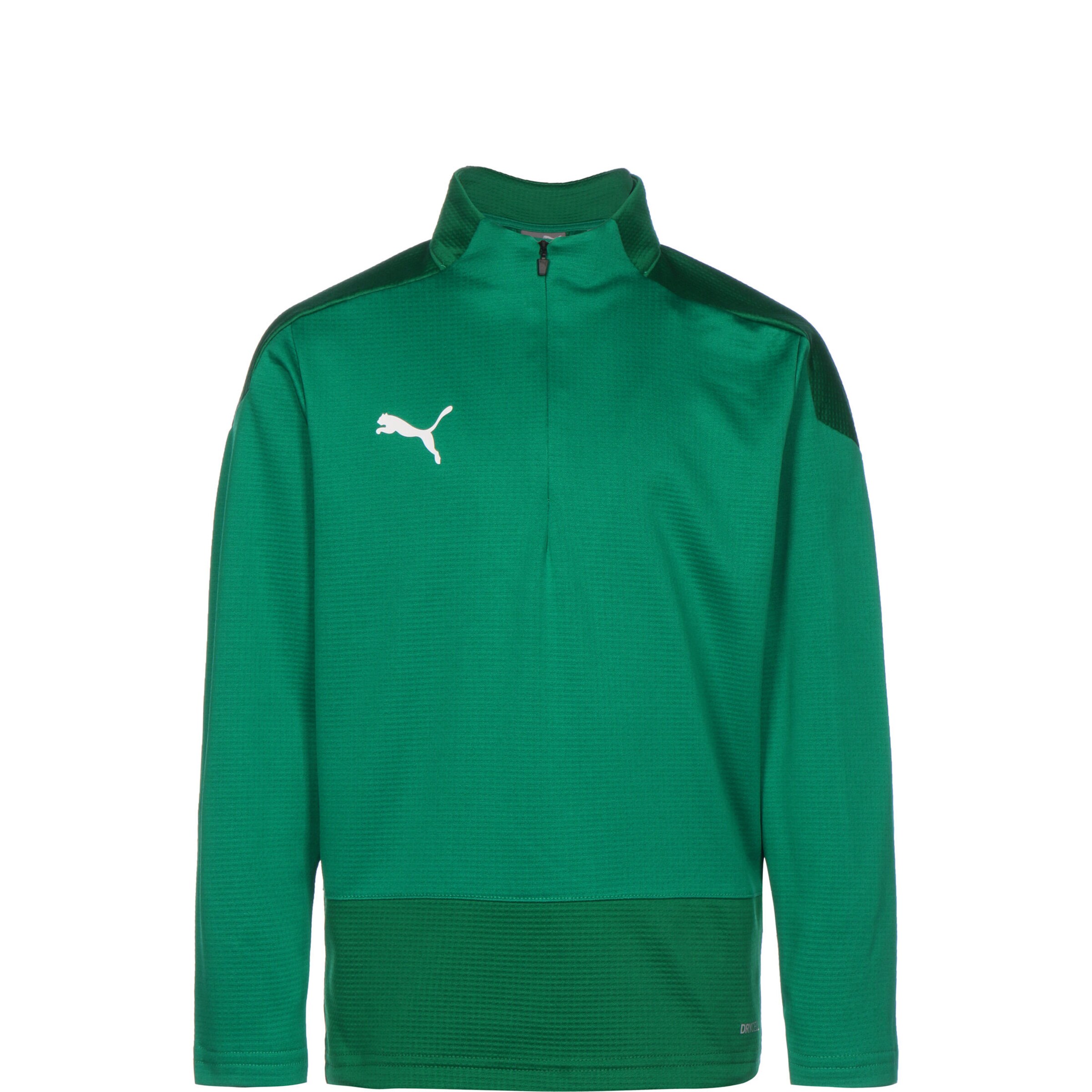 PUMA Sports sweatshirt 'Team Goal 23' in Green
