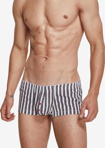 SEOBEAN Boxer shorts 'Baumwolle Boxershort Tight Cup Trunk Gestreift' in White: front