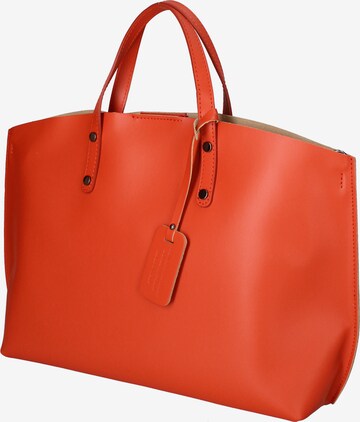 Gave Lux Handbag in Orange