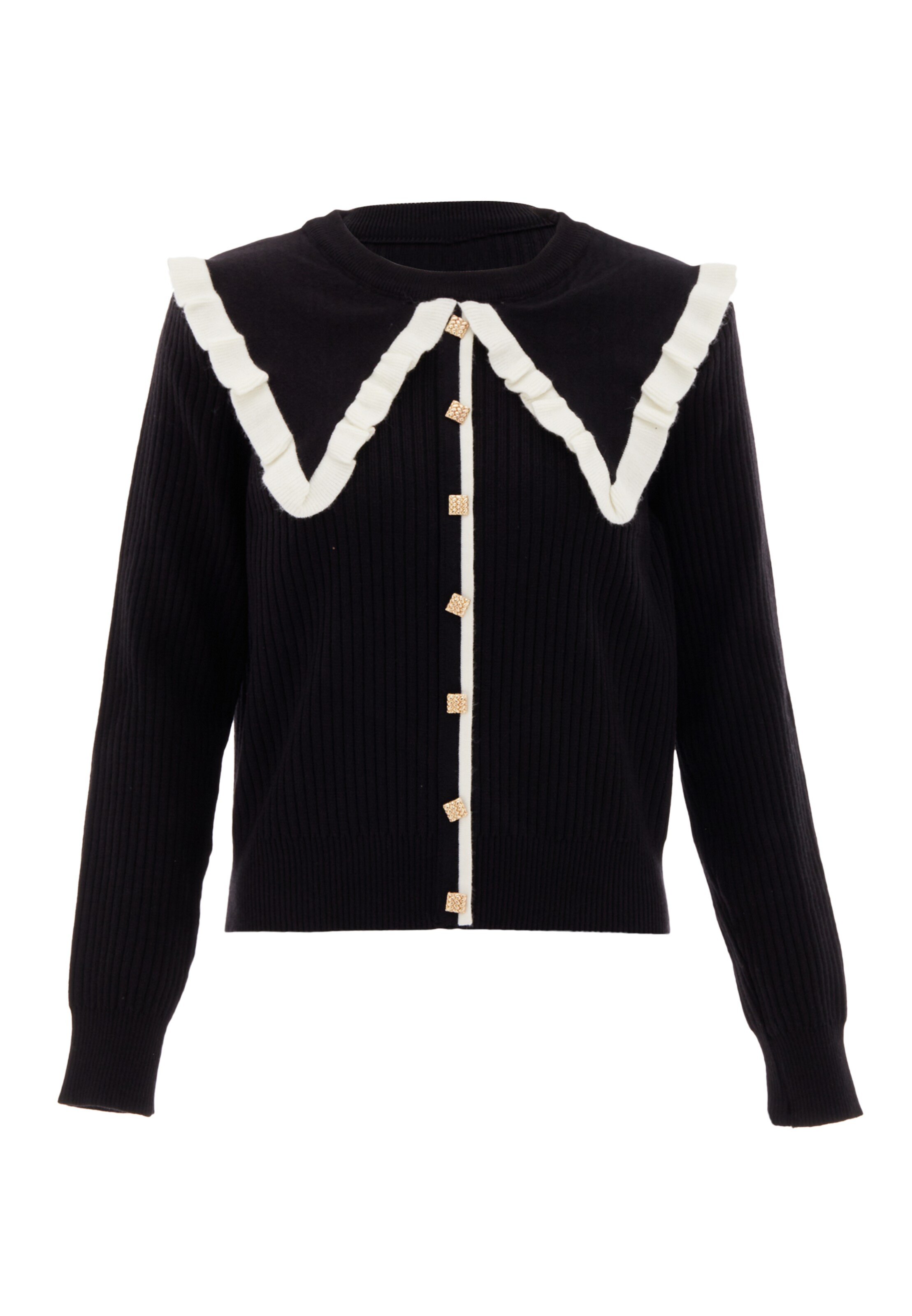 NAEMI Gebreid vest in Zwart: voorkant